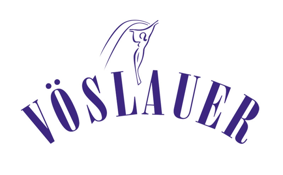 vslauer-logo